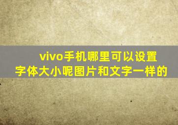 vivo手机哪里可以设置字体大小呢图片和文字一样的