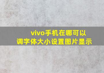 vivo手机在哪可以调字体大小设置图片显示