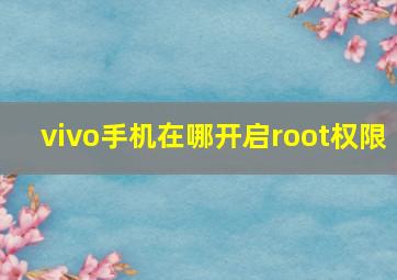 vivo手机在哪开启root权限