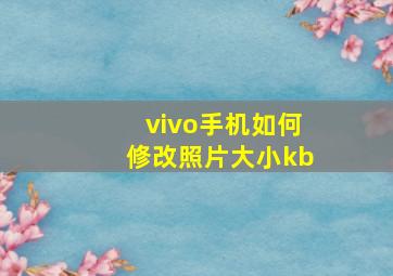 vivo手机如何修改照片大小kb