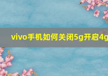 vivo手机如何关闭5g开启4g