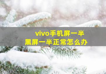 vivo手机屏一半黑屏一半正常怎么办