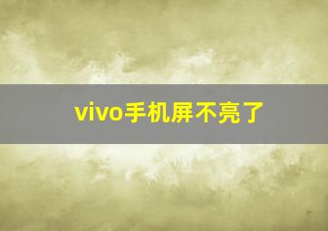 vivo手机屏不亮了