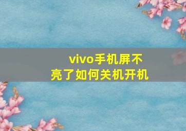 vivo手机屏不亮了如何关机开机