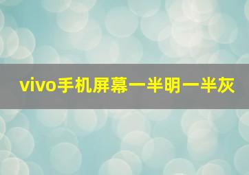 vivo手机屏幕一半明一半灰