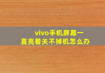 vivo手机屏幕一直亮着关不掉机怎么办