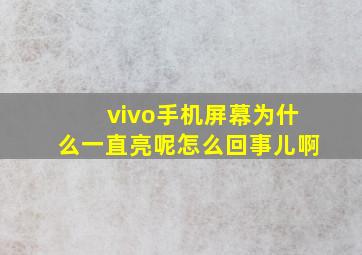 vivo手机屏幕为什么一直亮呢怎么回事儿啊