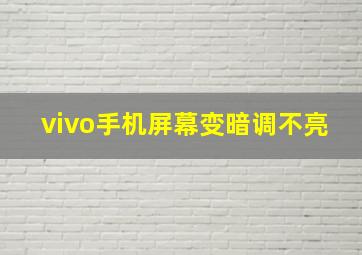 vivo手机屏幕变暗调不亮