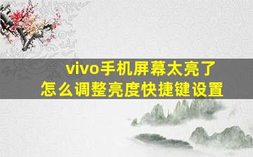 vivo手机屏幕太亮了怎么调整亮度快捷键设置