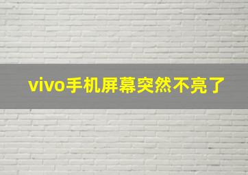 vivo手机屏幕突然不亮了