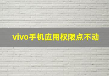 vivo手机应用权限点不动