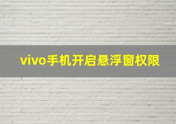 vivo手机开启悬浮窗权限