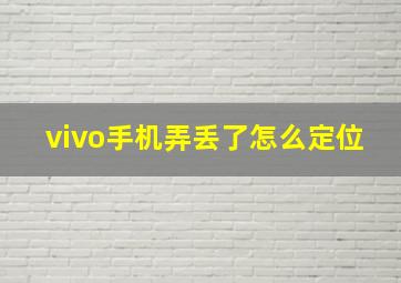 vivo手机弄丢了怎么定位