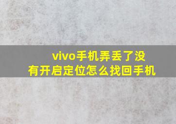 vivo手机弄丢了没有开启定位怎么找回手机