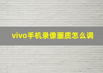 vivo手机录像画质怎么调