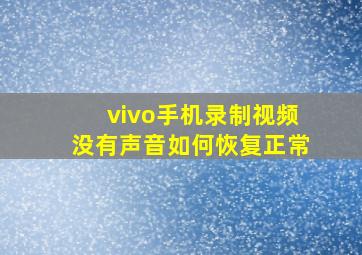 vivo手机录制视频没有声音如何恢复正常