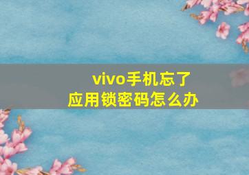 vivo手机忘了应用锁密码怎么办