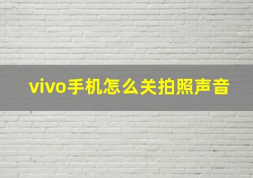 vivo手机怎么关拍照声音