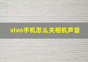 vivo手机怎么关相机声音