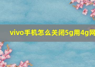 vivo手机怎么关闭5g用4g网