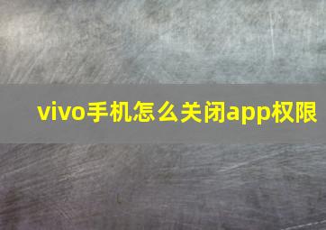 vivo手机怎么关闭app权限