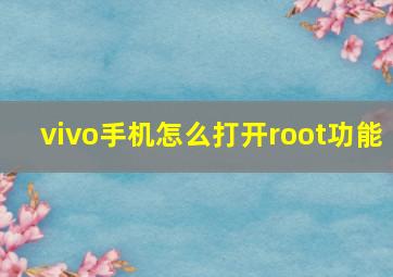 vivo手机怎么打开root功能