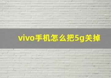 vivo手机怎么把5g关掉