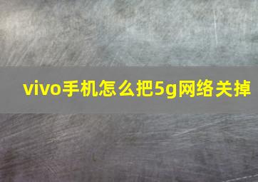 vivo手机怎么把5g网络关掉