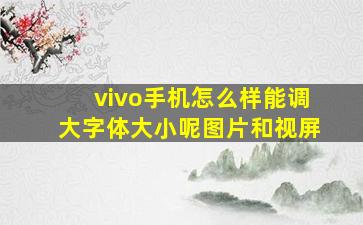 vivo手机怎么样能调大字体大小呢图片和视屏