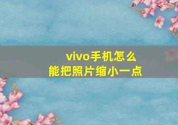 vivo手机怎么能把照片缩小一点