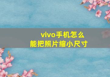 vivo手机怎么能把照片缩小尺寸