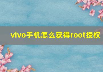 vivo手机怎么获得root授权