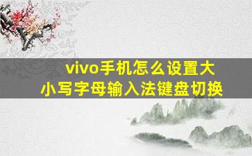 vivo手机怎么设置大小写字母输入法键盘切换