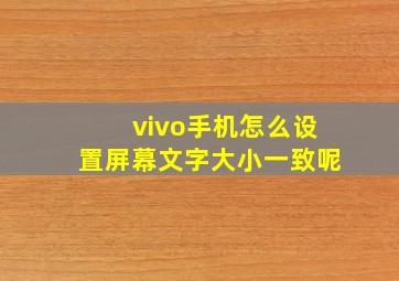 vivo手机怎么设置屏幕文字大小一致呢