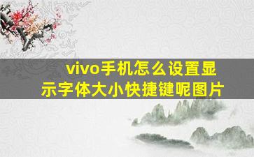 vivo手机怎么设置显示字体大小快捷键呢图片