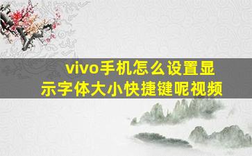 vivo手机怎么设置显示字体大小快捷键呢视频