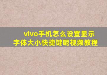 vivo手机怎么设置显示字体大小快捷键呢视频教程