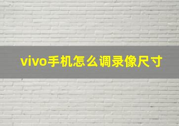 vivo手机怎么调录像尺寸