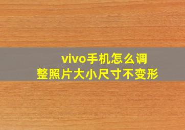 vivo手机怎么调整照片大小尺寸不变形