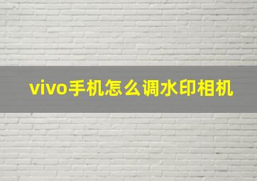 vivo手机怎么调水印相机