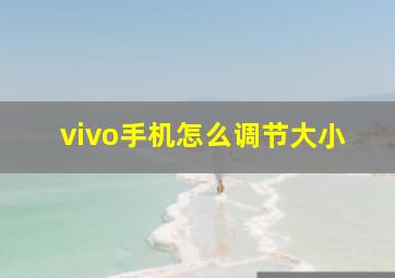 vivo手机怎么调节大小