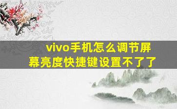 vivo手机怎么调节屏幕亮度快捷键设置不了了