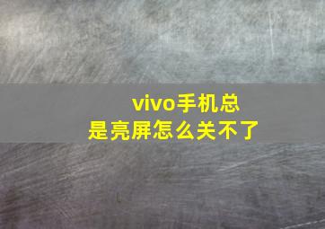 vivo手机总是亮屏怎么关不了