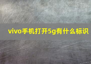 vivo手机打开5g有什么标识