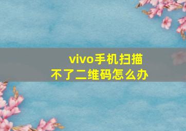 vivo手机扫描不了二维码怎么办