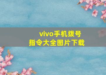 vivo手机拨号指令大全图片下载