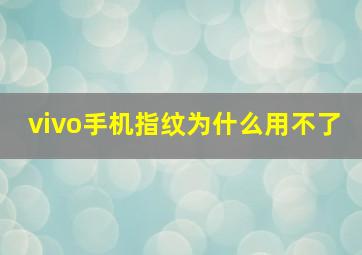 vivo手机指纹为什么用不了