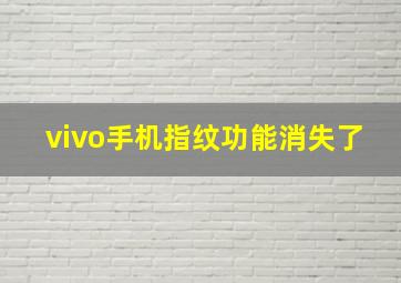 vivo手机指纹功能消失了