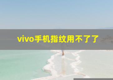 vivo手机指纹用不了了