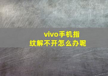 vivo手机指纹解不开怎么办呢